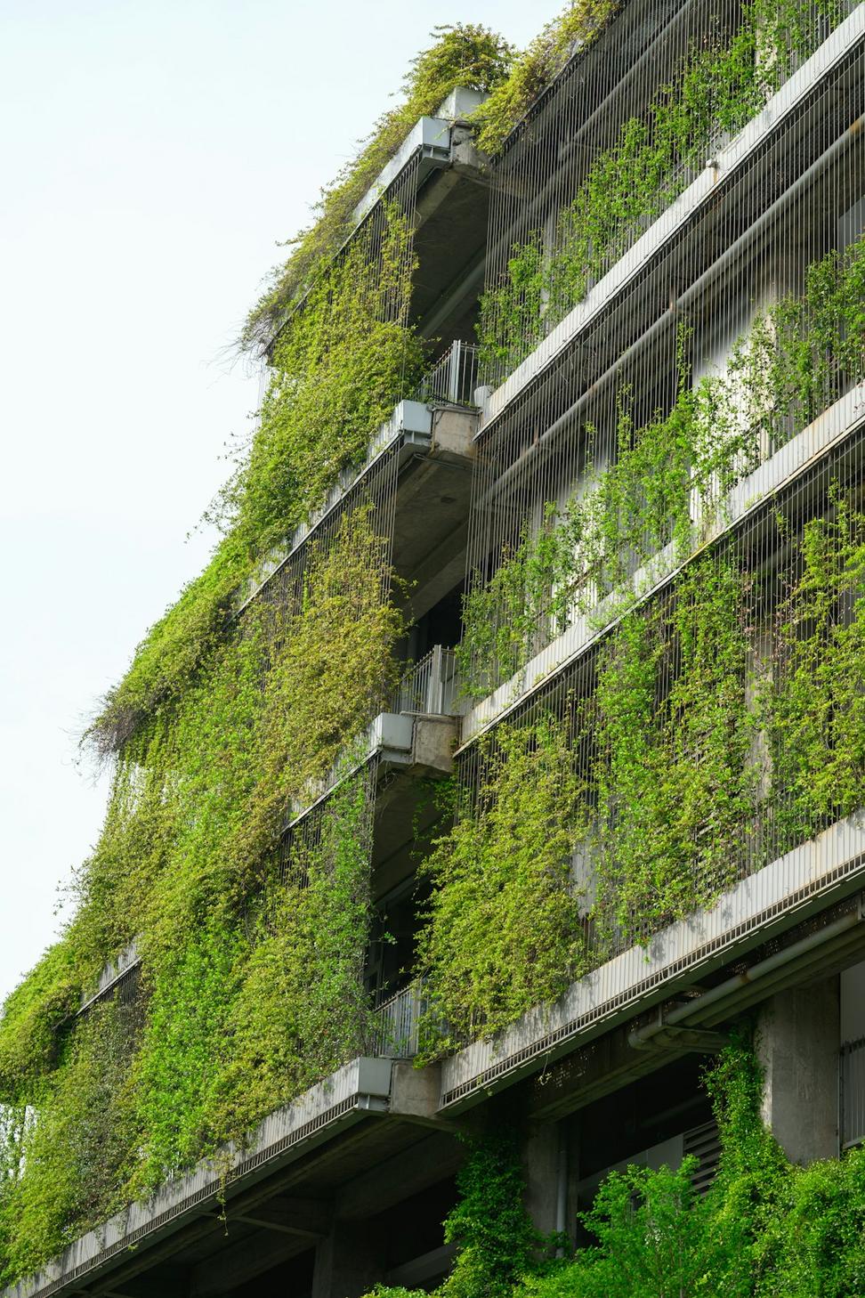 Sustainable Design Process