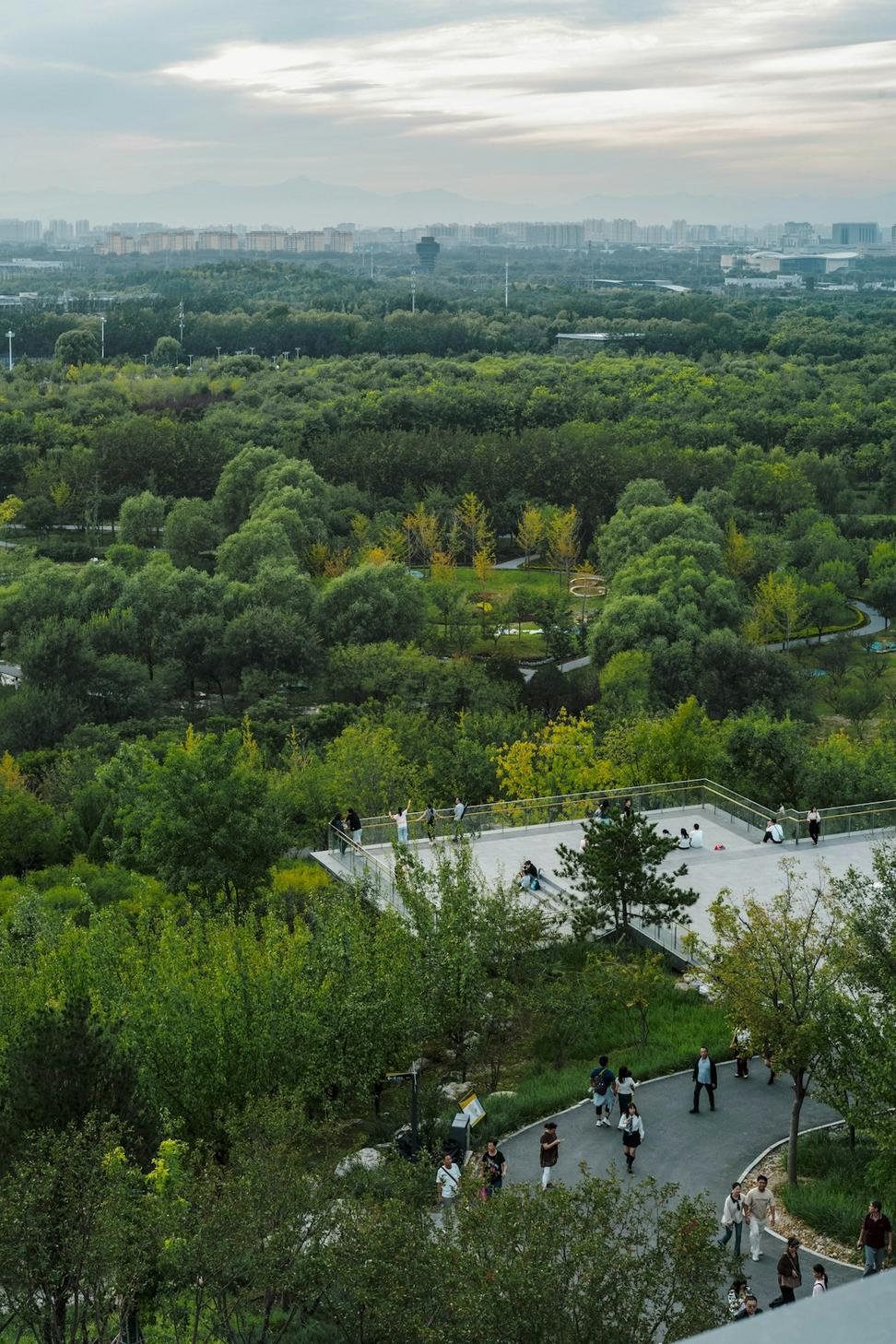 Junction Triangle Revitalization